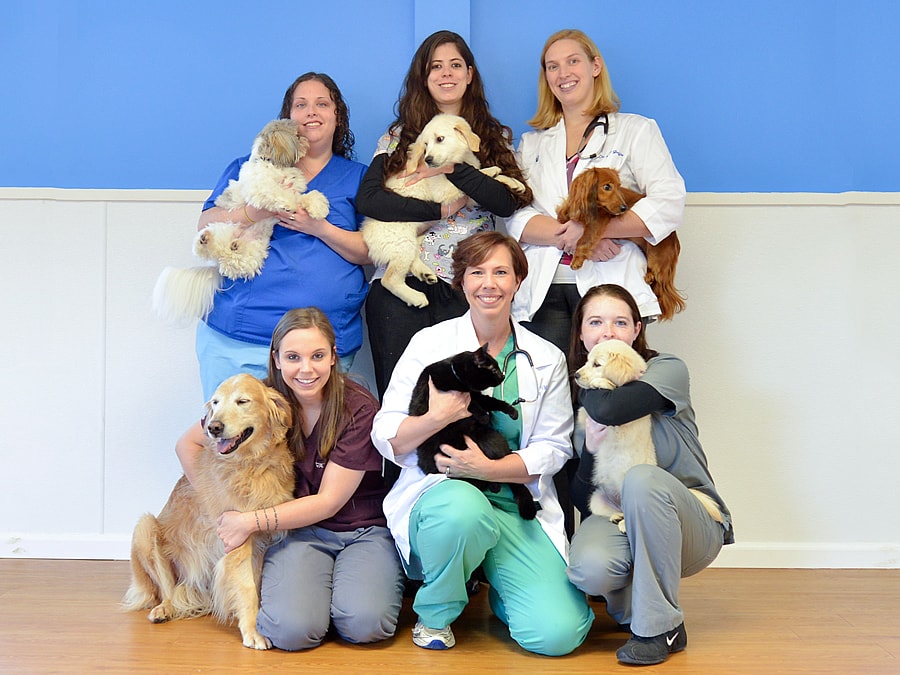 Columbus, OH Veterinarian To Village Gate Animal Hospital
